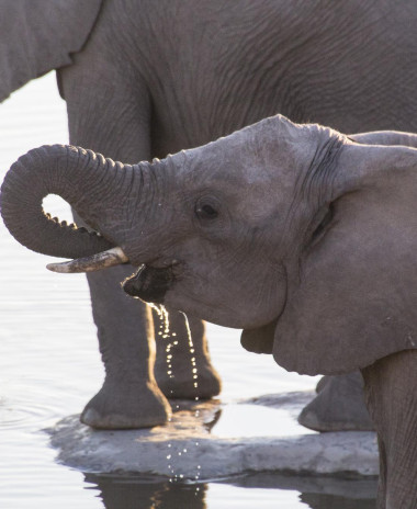 Afrika 16 2