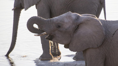 Afrika 16 2