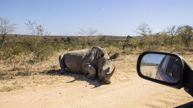 Afrika 16 8